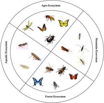 Insects as bioindicator: A hidden gem for environmental monitoring